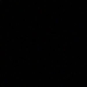 Meet your Posher, Travis